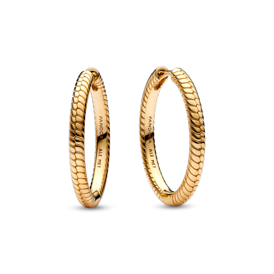 Pandora Moments riņķa auskari ar amuletu