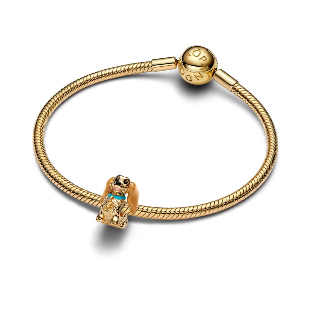 Disney Lady amulets