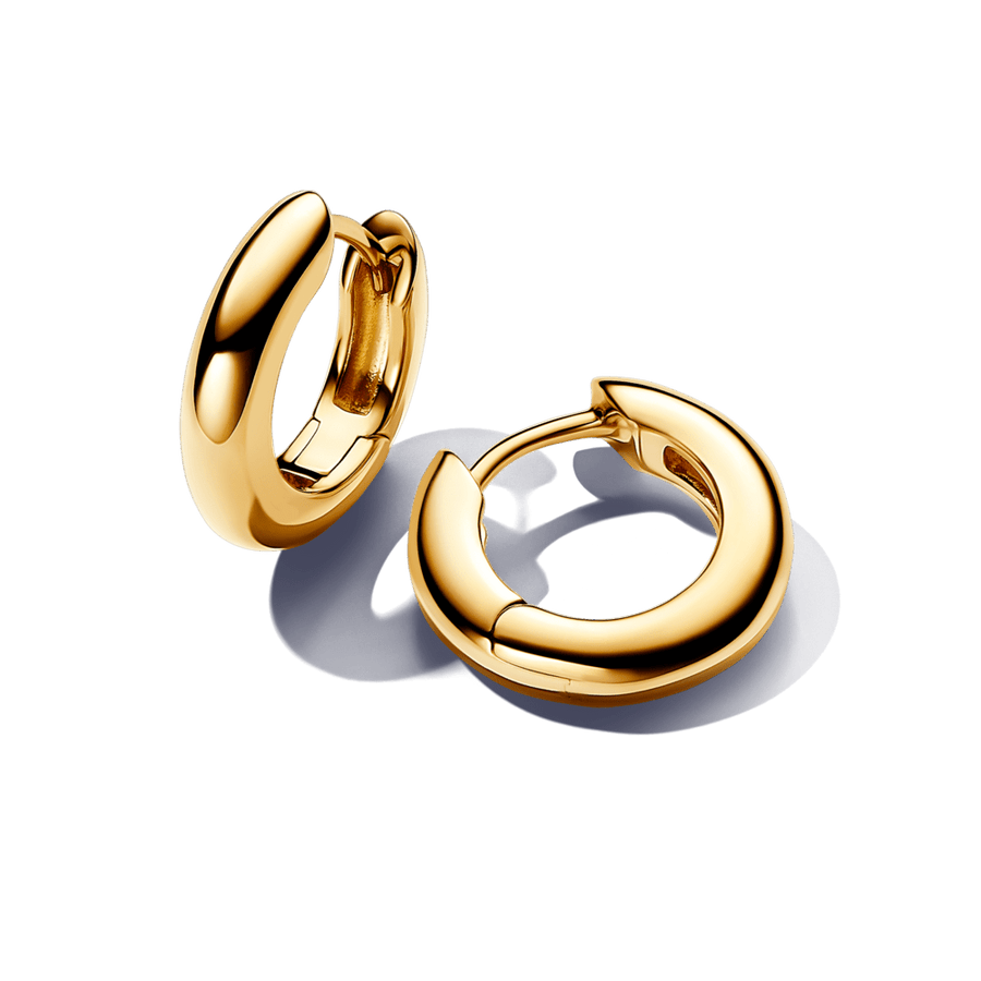 Apļveida stīpiņu auskari