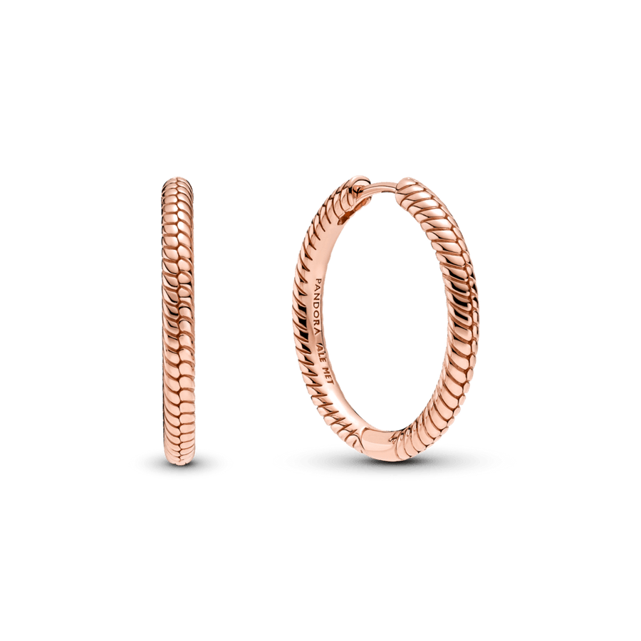 Pandora Moments riņķa auskari ar amuletu