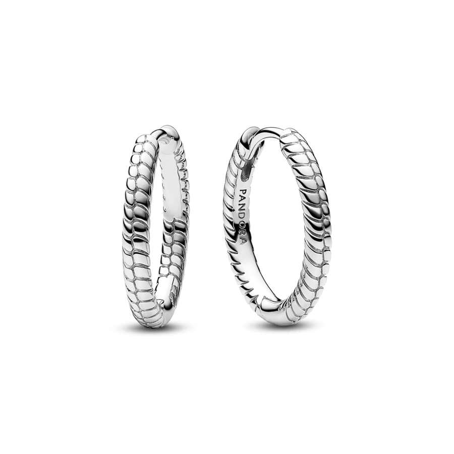 Pandora Moments amuletu riņķa auskari