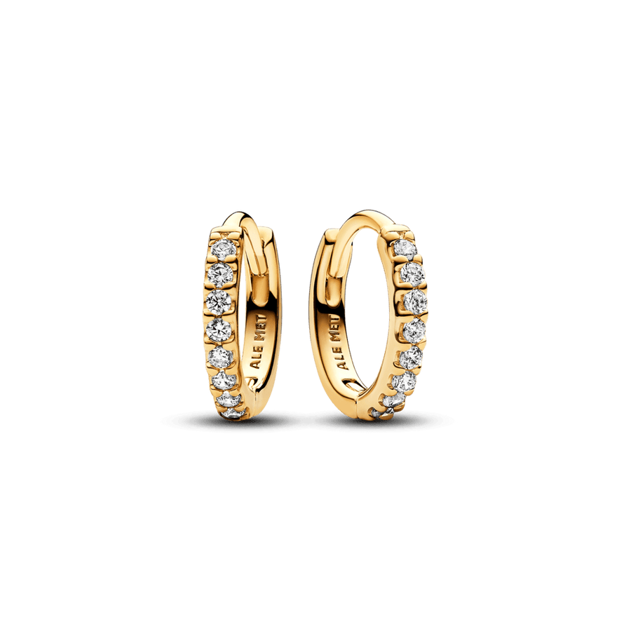 Dzirkstošie apskāviena auskari