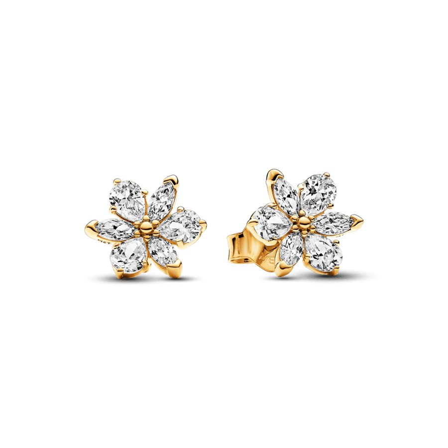 Mirdzošie herbārija auskari