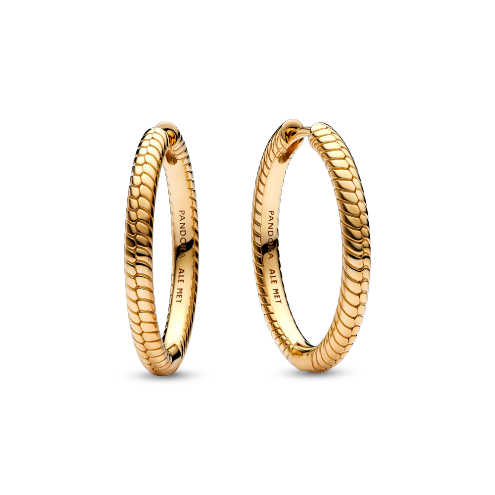 Pandora Moments riņķa auskari ar amuletu