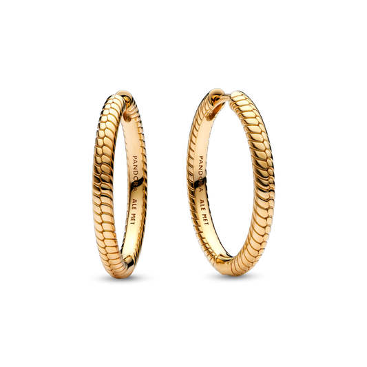 Pandora Moments riņķa auskari ar amuletu