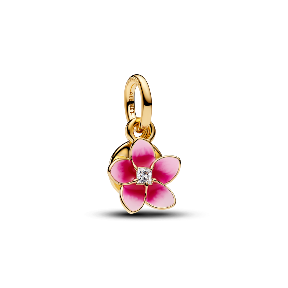 Disney Moana zieda amulets