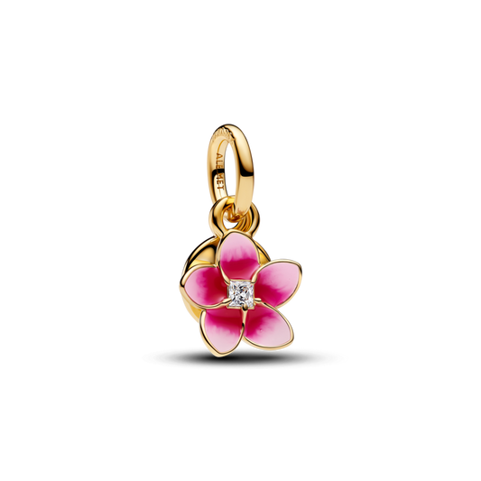 Disney Moana zieda amulets