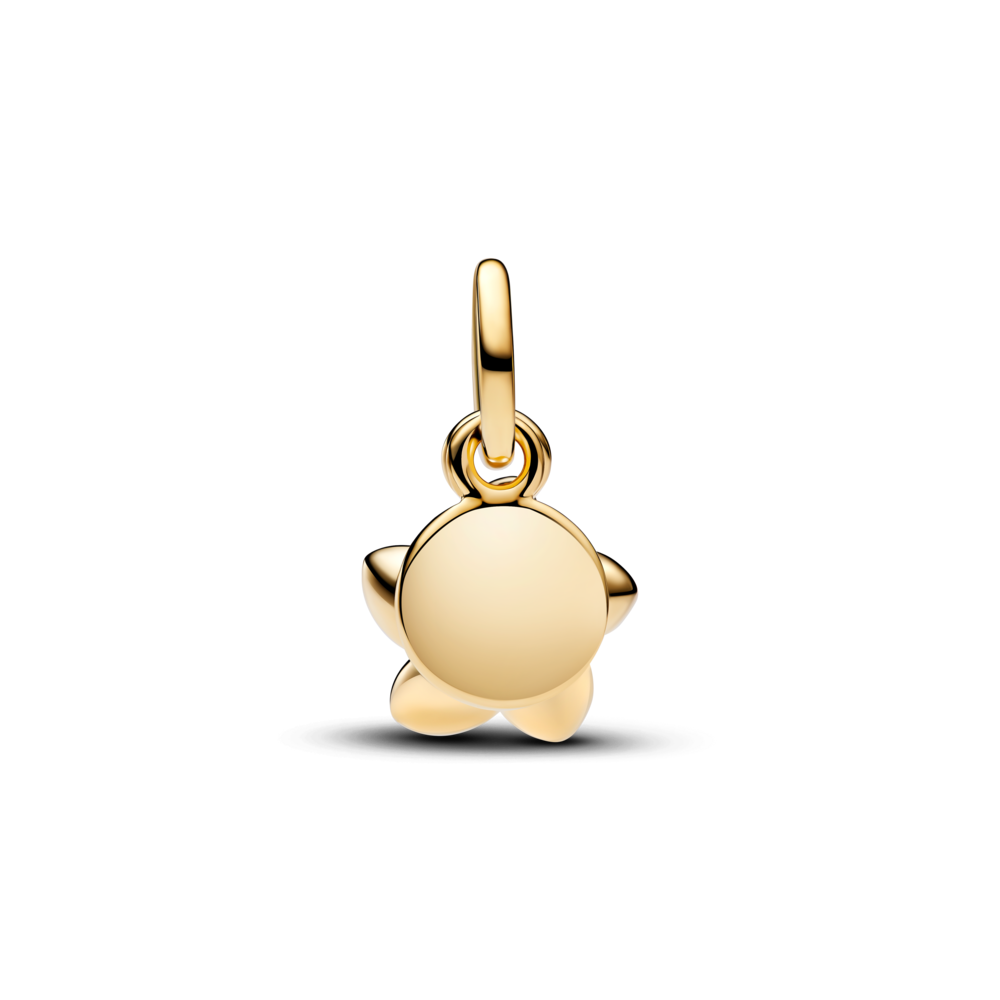 Disney Moana zieda amulets