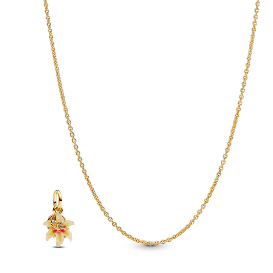 Rotu komplekts "Follow your own light"