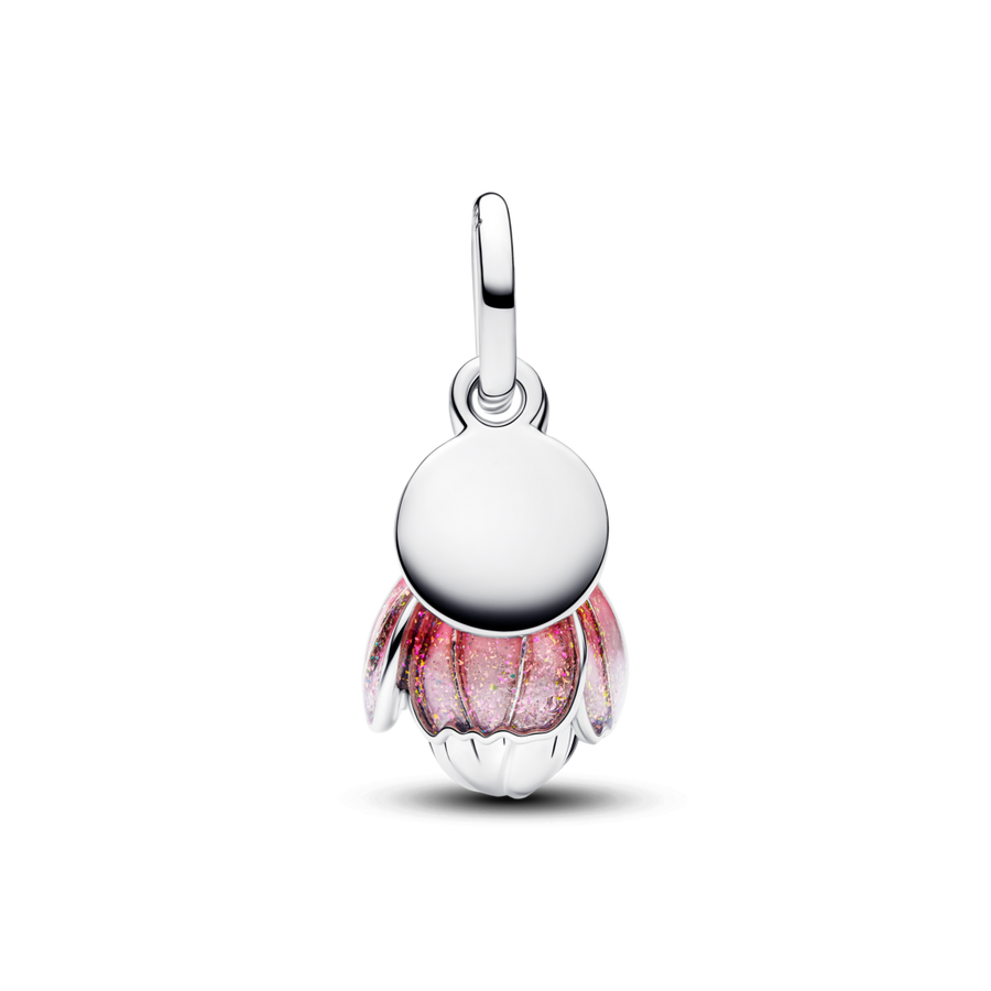 Divkrāsu ziedoša zieda amulets