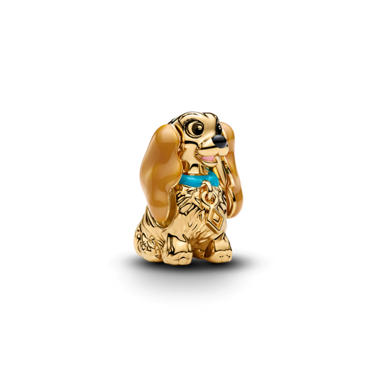 Disney Lady amulets