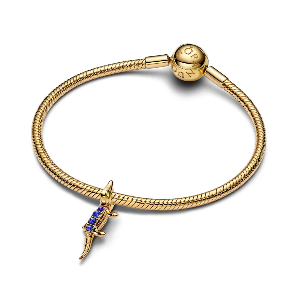 Aligatora amulets