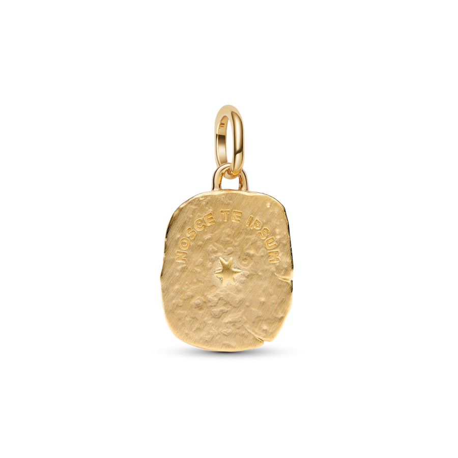 Acs medaljona amulets