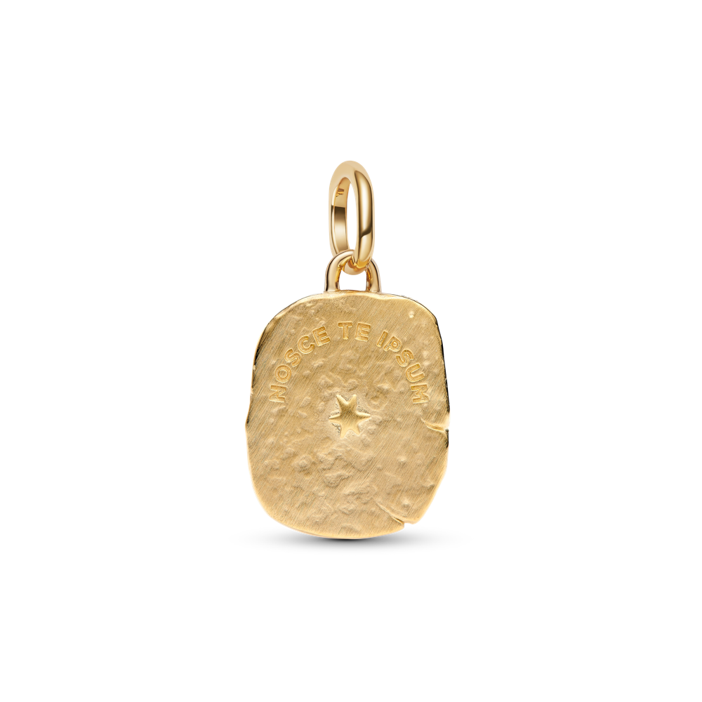 Acs medaljona amulets