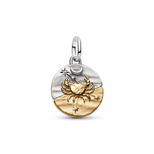 Vēža zodiaka medaljona amulets
