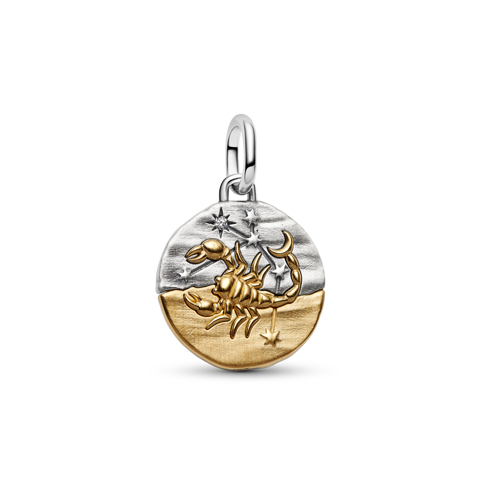 Skorpiona zodiaka medaljona amulets