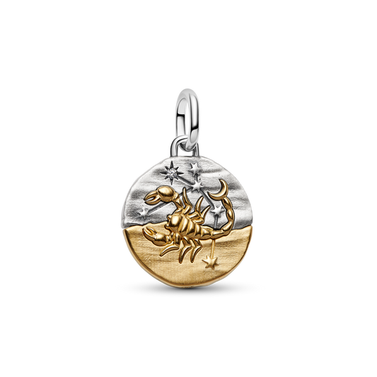Skorpiona zodiaka medaljona amulets