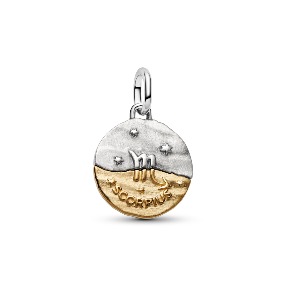 Skorpiona zodiaka medaljona amulets