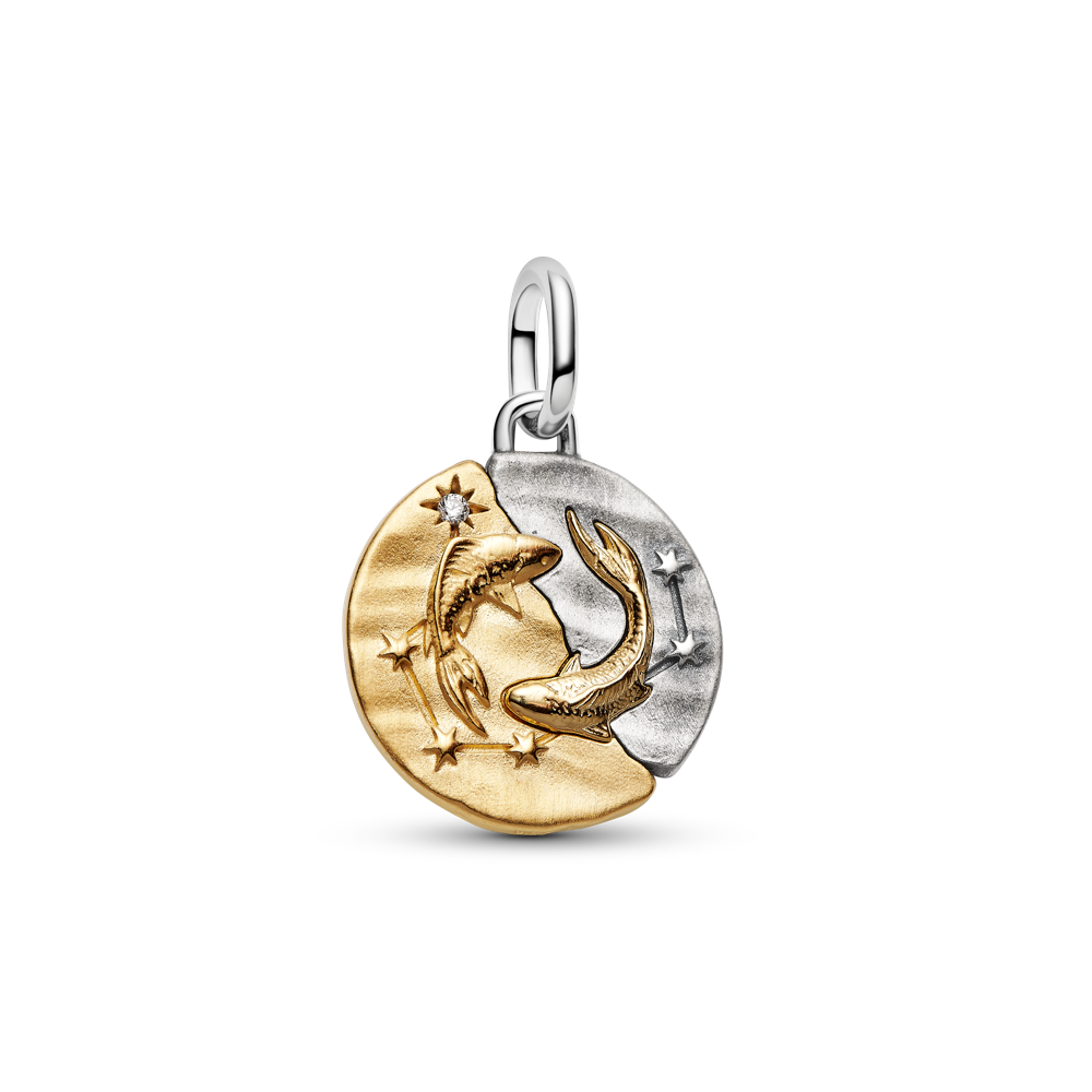 Zivju zodiaka medaljona amulets