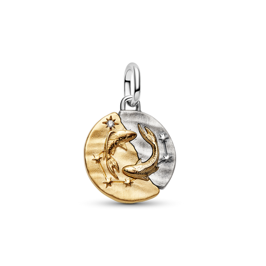 Zivju zodiaka medaljona amulets