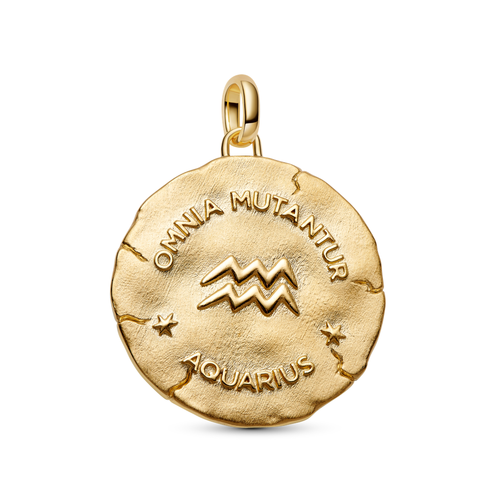 Ūdensvīra zodiaka lielizmēra medaljona amulets
