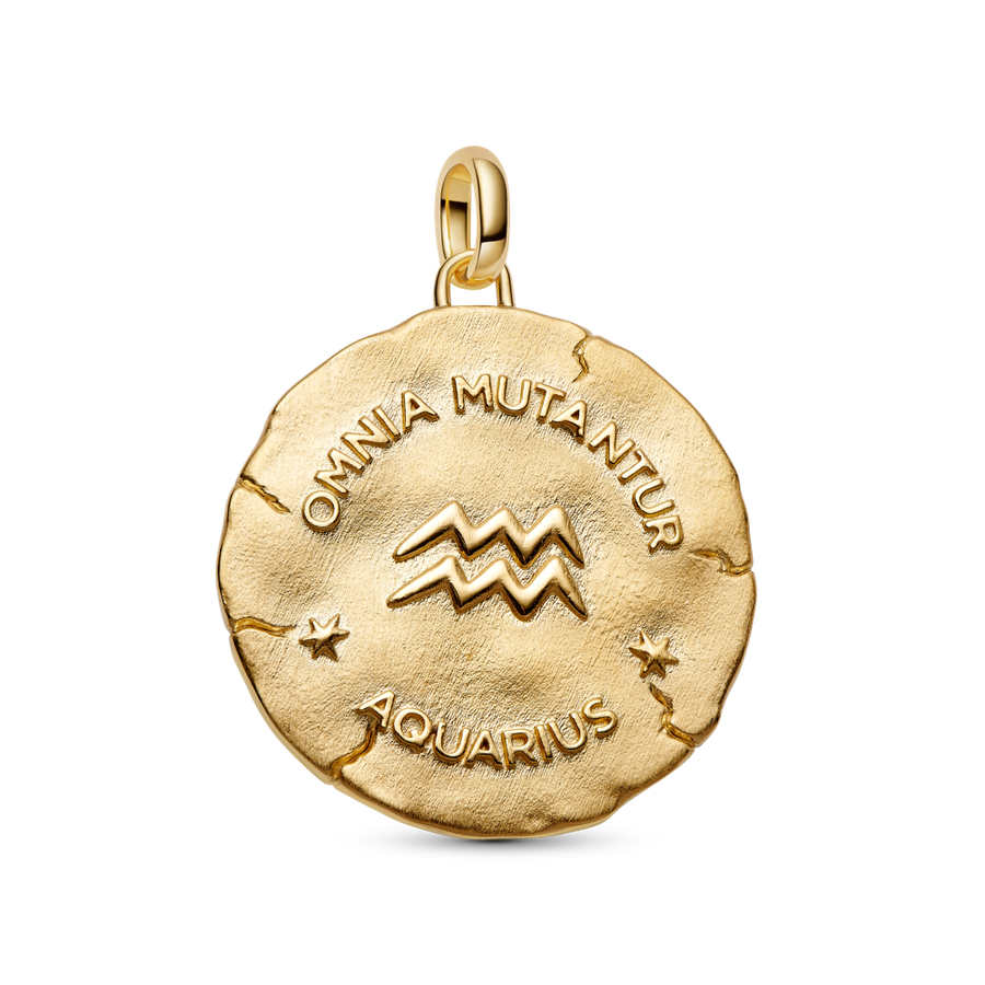 Ūdensvīra zodiaka lielizmēra medaljona amulets