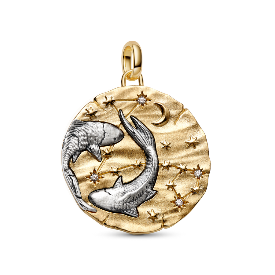 Zivju zodiaka lielizmēra medaljona amulets