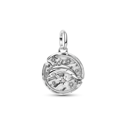 Delfīna medaljona amulets