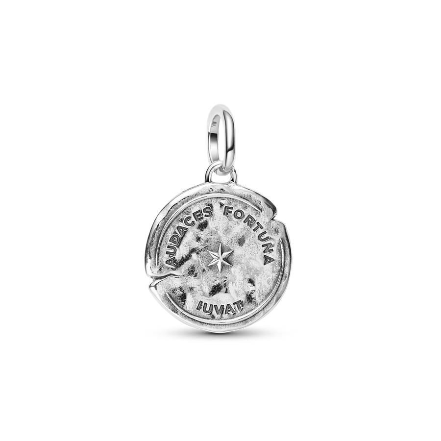 Delfīna medaljona amulets