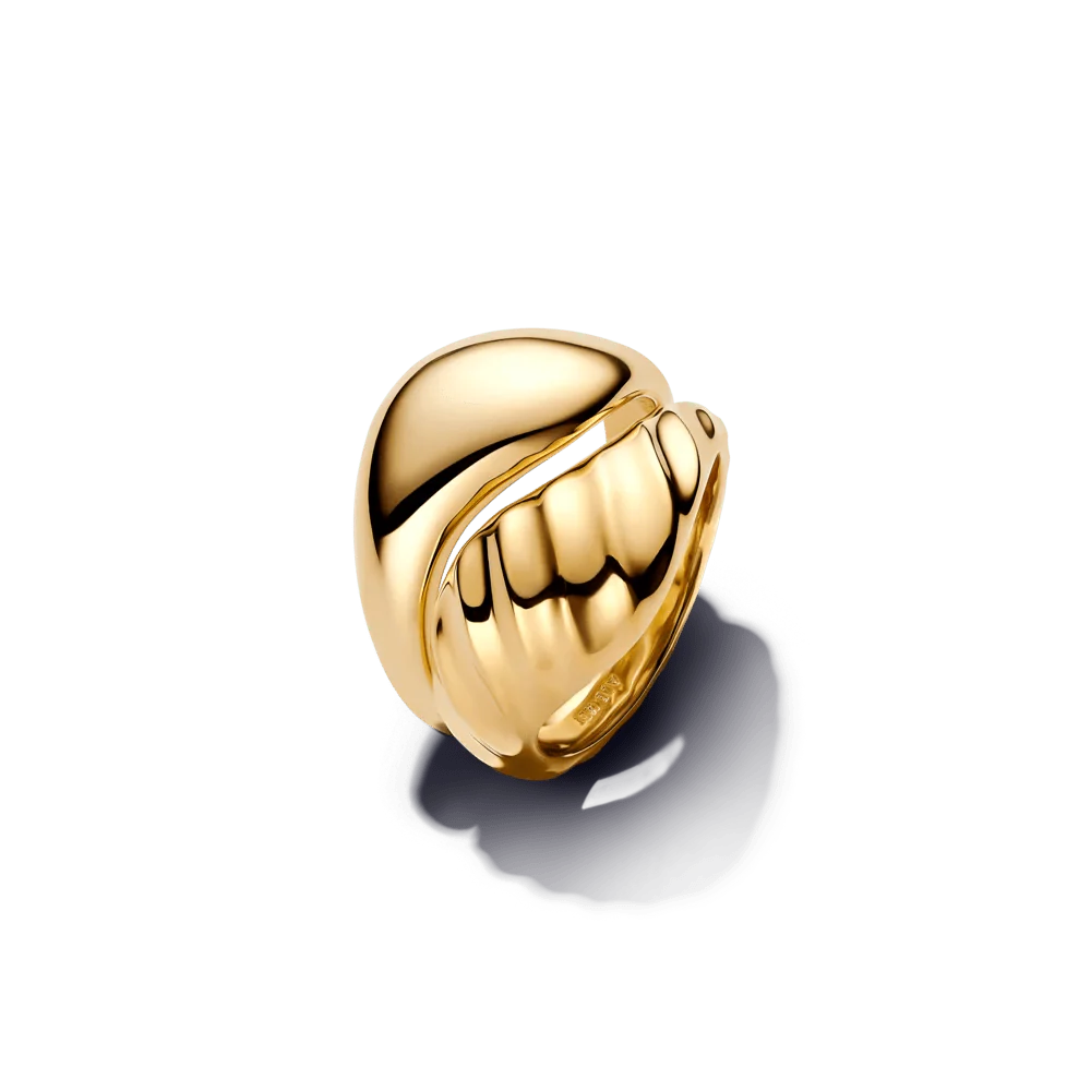 Viļņainas tekstūras savstarpēji savienoti gredzeni