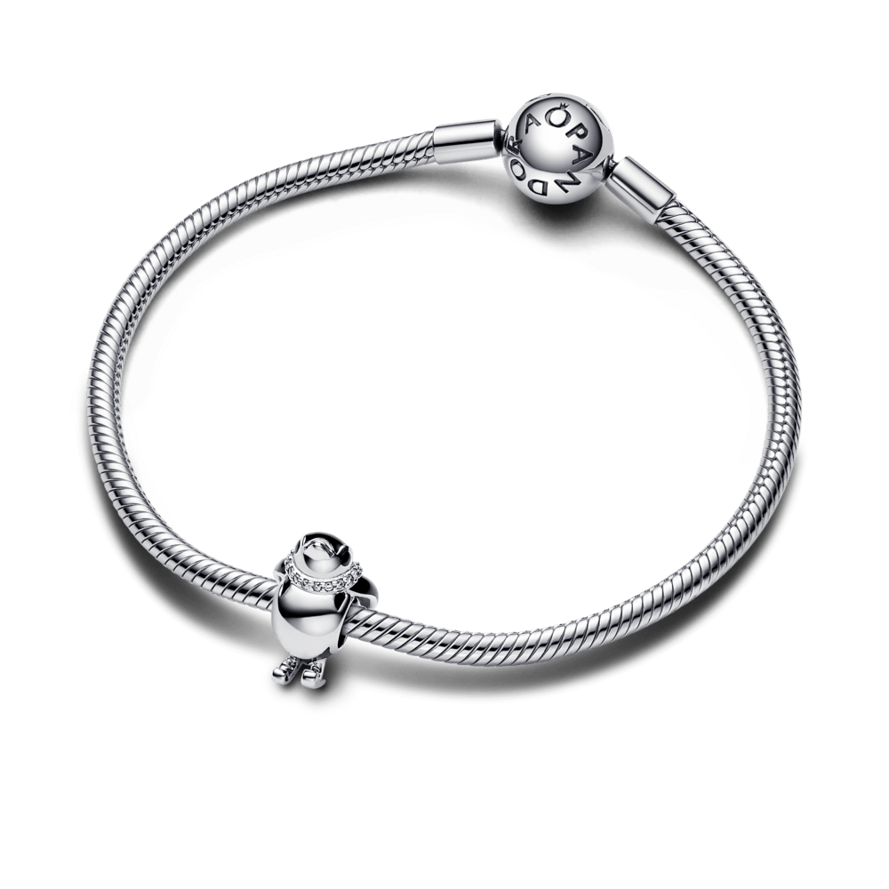 Slēpotāja pingvīna amulets