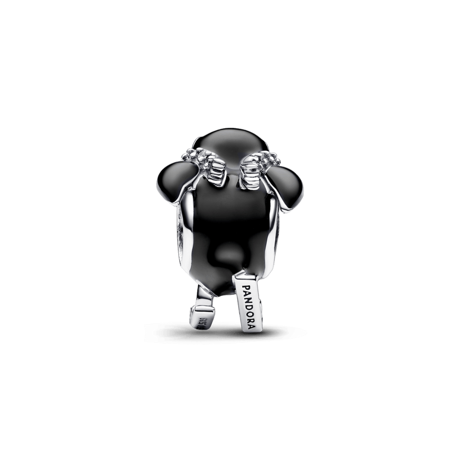 Slēpotāja pingvīna amulets