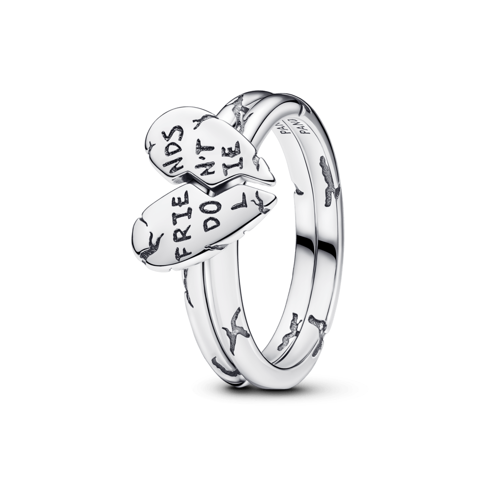 Draugu gredzens Stranger Things Friends Don't Lie