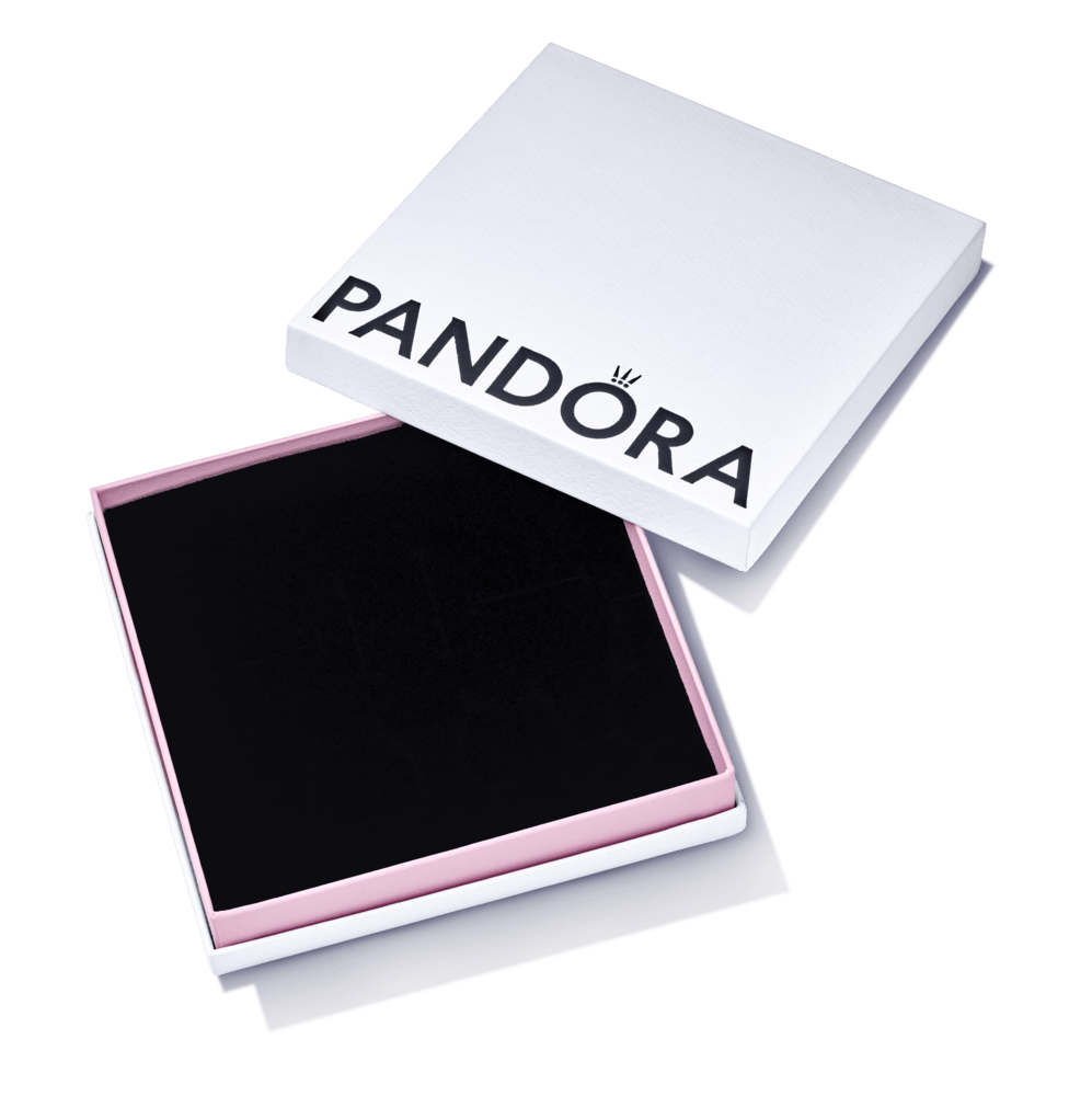 Lielā uzglabājamā kastīte