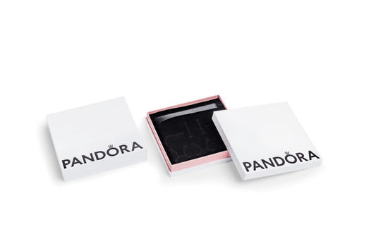 Lielā uzglabājamā kastīte