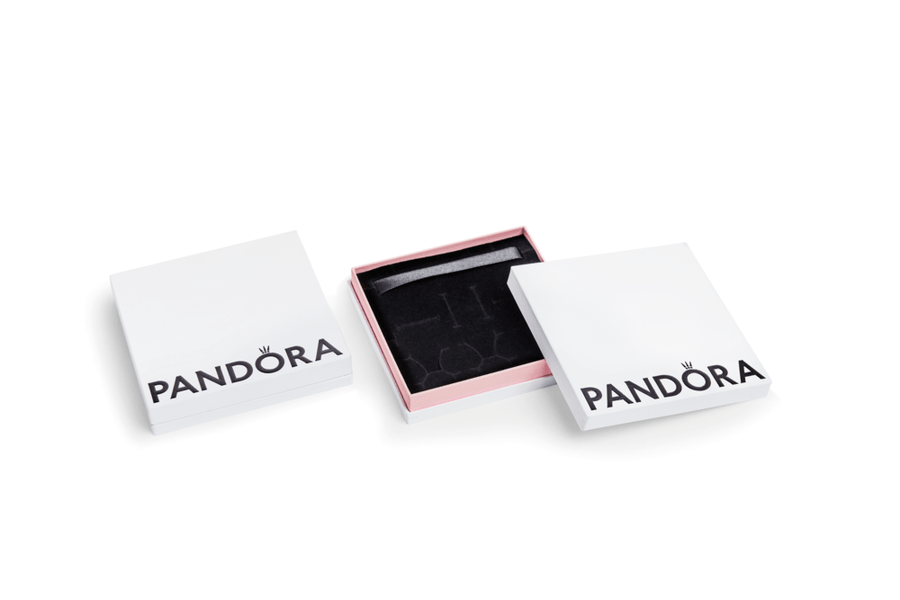 Lielā uzglabājamā kastīte