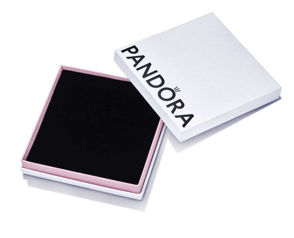 Lielā uzglabājamā kastīte