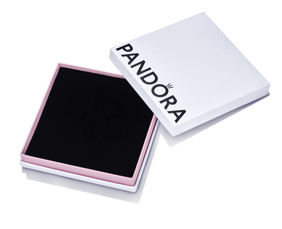 Lielā uzglabājamā kastīte