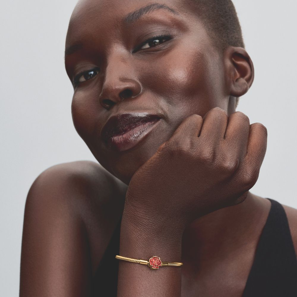 Disney skaistules un briesmoņa apburtās rozes čūskas ķēdes rokassprādze