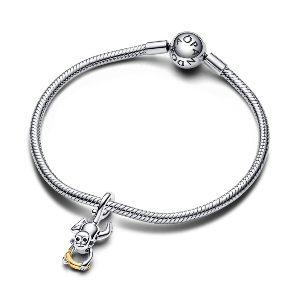 Divtoņu kustīgā pērtiķēna amulets