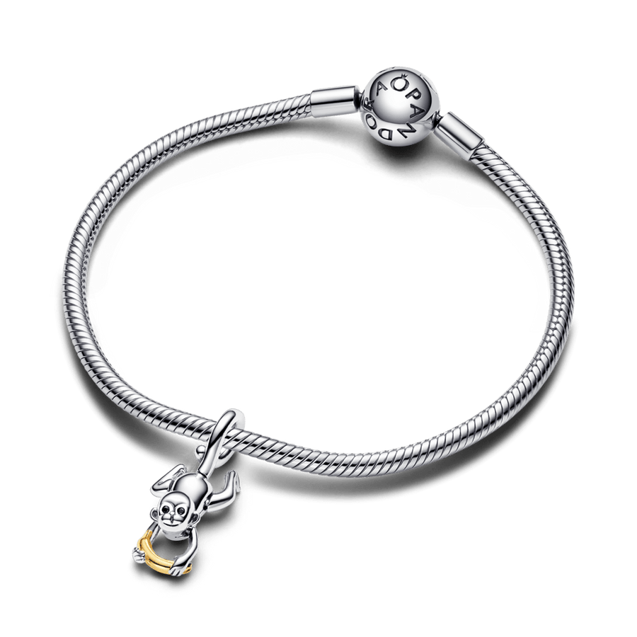 Divtoņu kustīgā pērtiķēna amulets