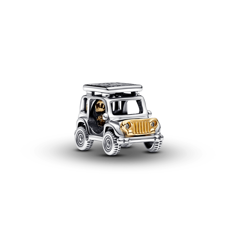 Divtoņu piedzīvojumu auto amulets