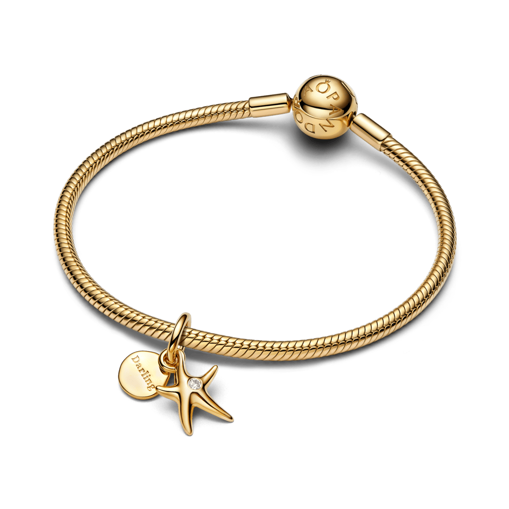 Jūras zvaigznes dubultais amulets