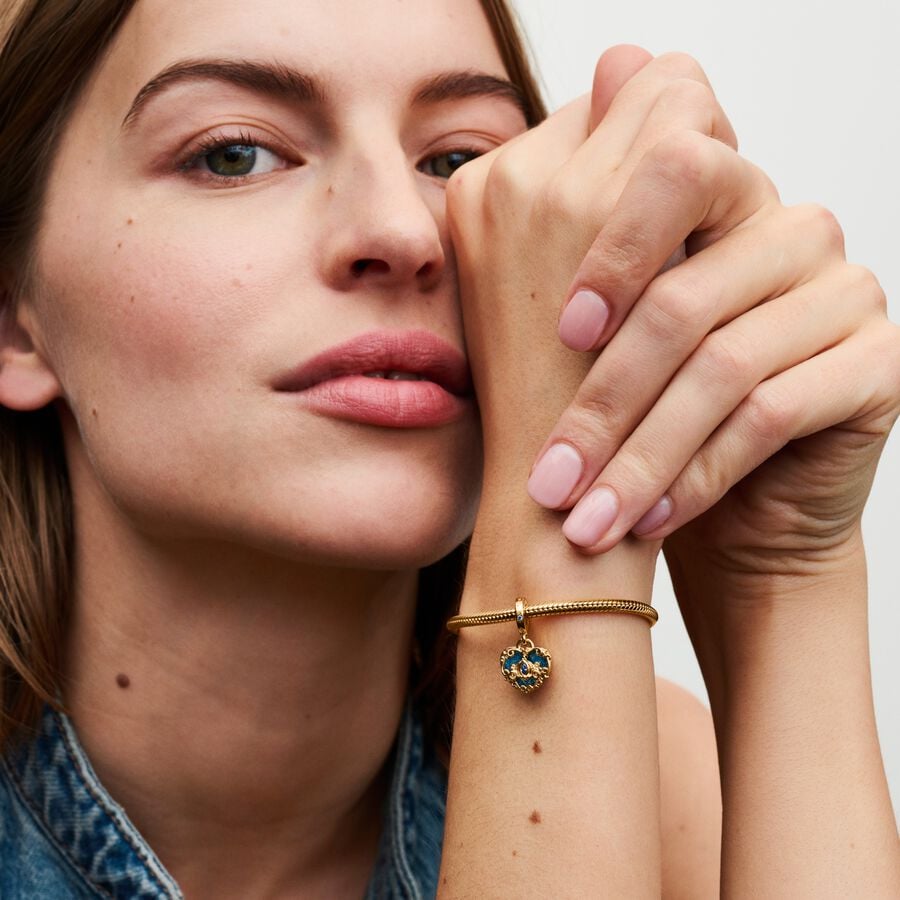 Disney Pelnrušķītes karietes un dubultais sirds amulets