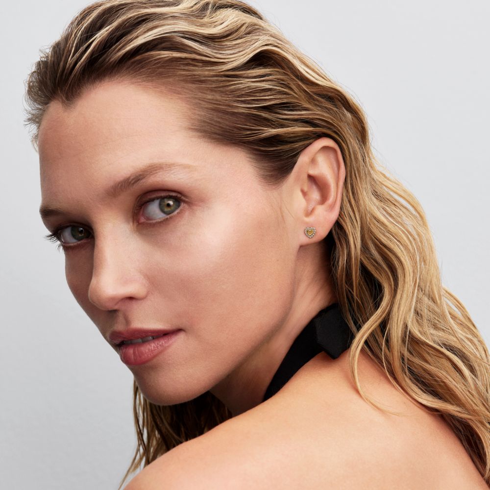 Sirds formas Halo kniedes auskari