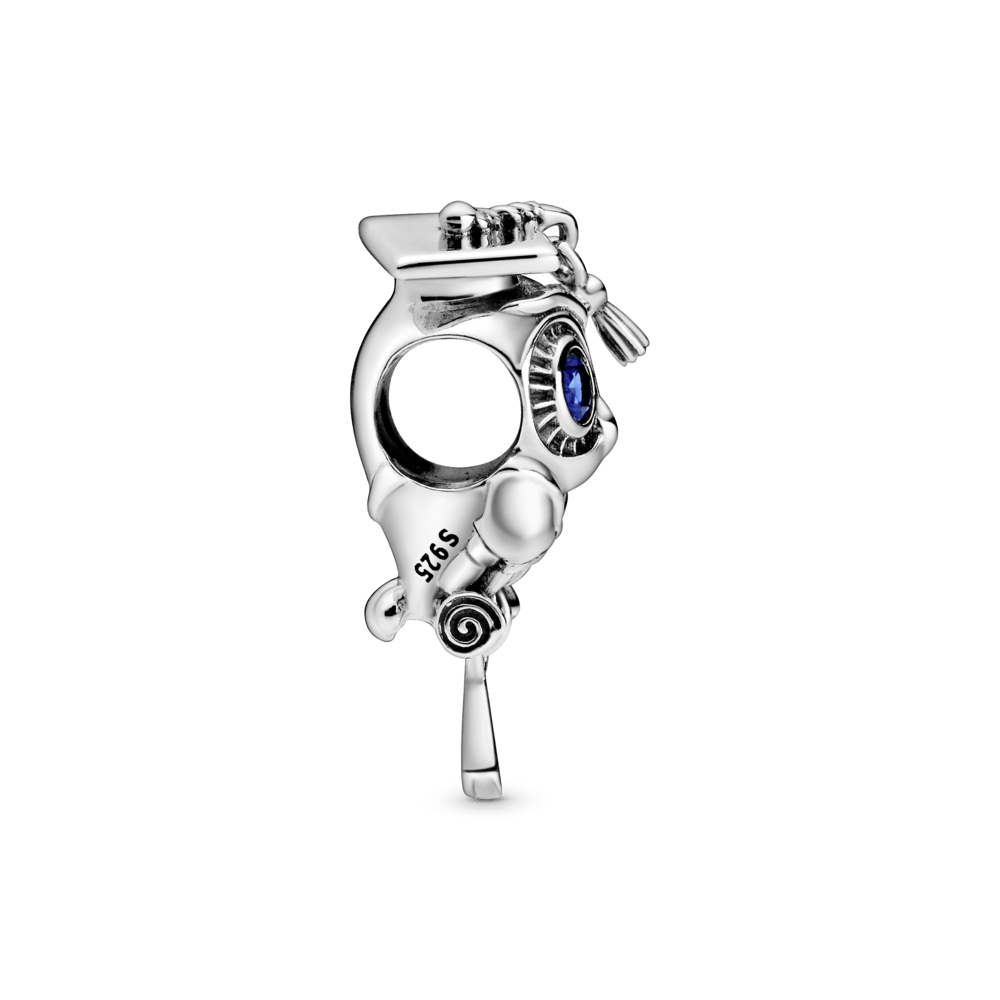 Gudrās pūces izlaiduma amulets