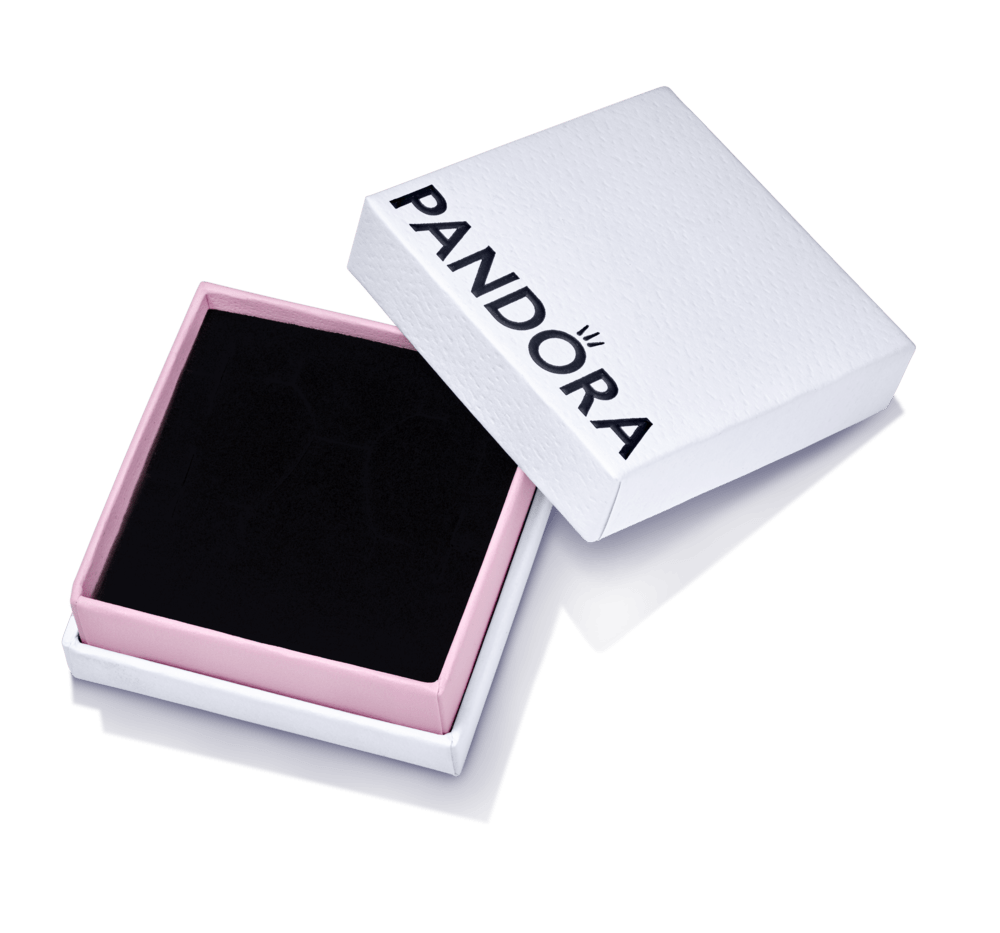 Mazā uzglabājamā kastīte