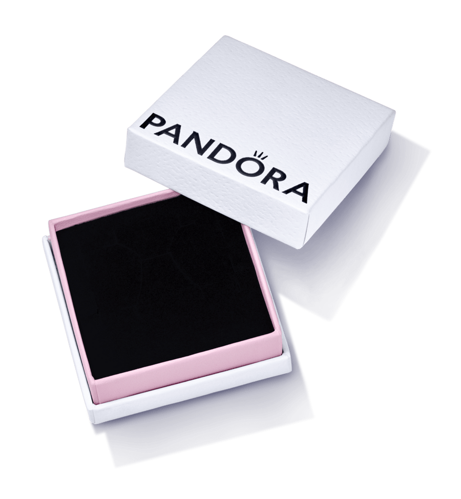 Mazā uzglabājamā kastīte