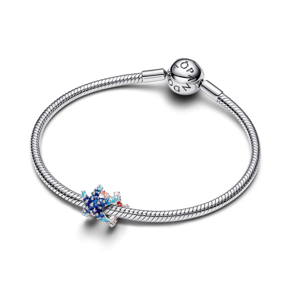 Krāsains jūras zvaigznes mini amulets