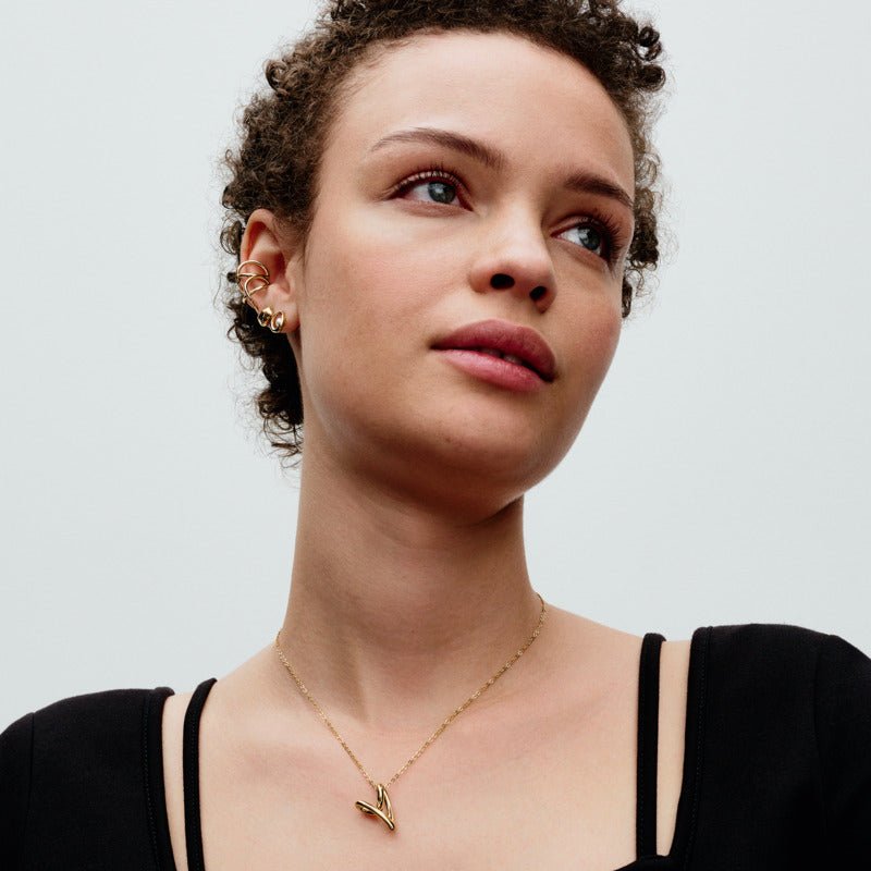 Organiskas formas bezgalības ausu kniede